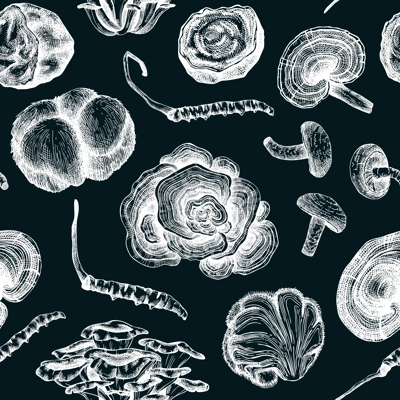 Medicinal mushroom seamless patte. Medicinal plants sketches. Hand-drawn vector illustrations. Chinese herbology background. NOT AI generated